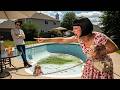 I Emptied My Pool — Karen Lost It and Dialed 911