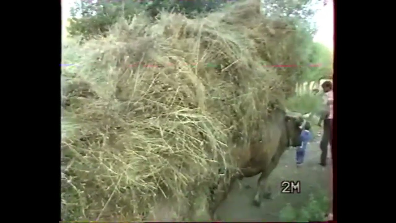 Sivas Zara Göktepe Köyü 1993 #koçgiri #nostalgic