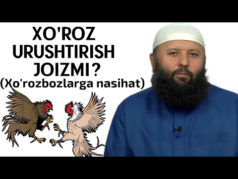 Video: Agar Xo'jayiningiz Doimo Qichqirsa Nima Qilish Kerak