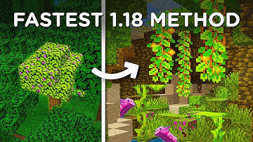 How To Find Lush Caves in Minecraft 1.18 (Fast)