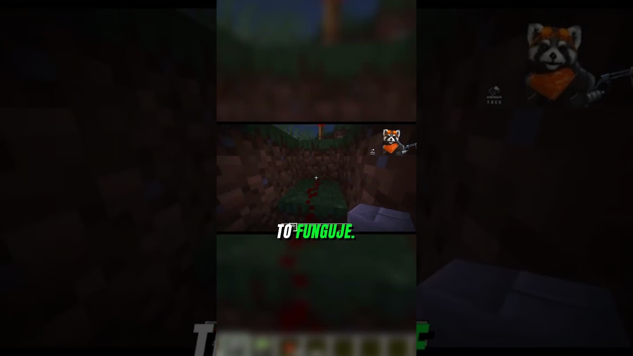 Oprava a dokončení pístových dveří!