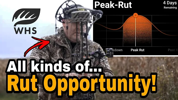 How To Hunt All Phases Of The Rut