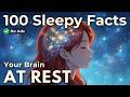 The Science of Non-Doing: How Silence Restores Your Inner Peace (No Ads)