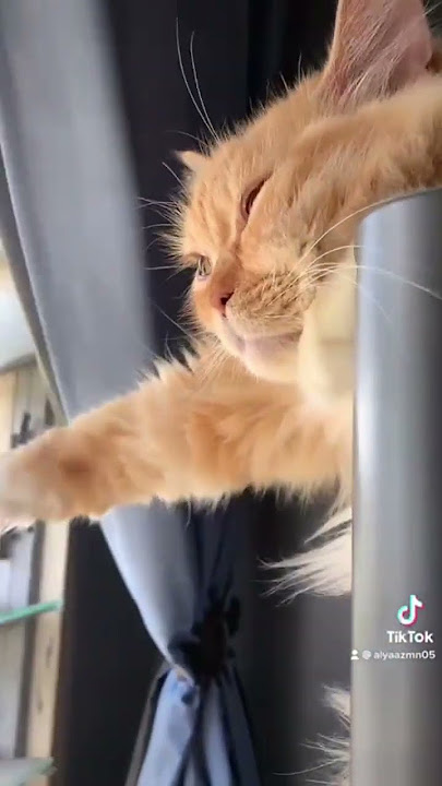 monty memenung masa depan..