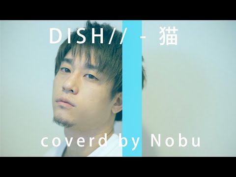 DISH// - 猫 coverd by Nobu  歌詞付きフル