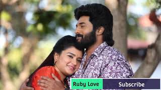 Sembaruthi Serial marriage Song || Zeetv Serial Song || un peril en pyar