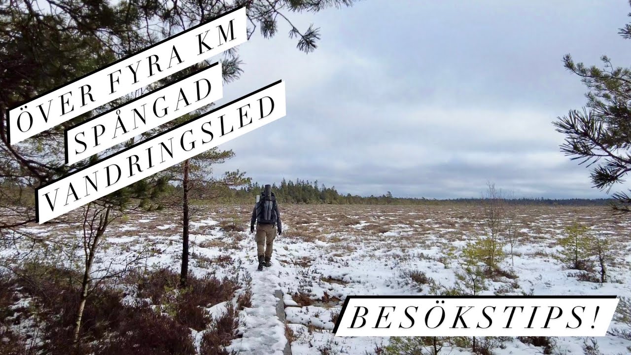 BESÖKSTIPS! KOMOSSE NATURRESERVAT I VÄSTERGÖTLAND | ÖVER 4KM SPÅNGAD LED OCH VÄLFYLLT VEDFÖRRÅD.