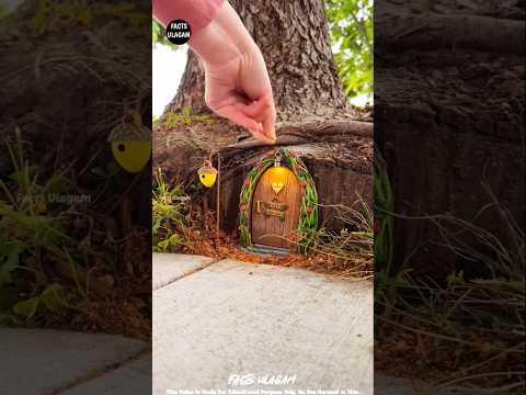 Unbelievable build magical fairy HOUSE | Facts Tamizha_Facts Ulagam_Fact In Tamil_#shorts