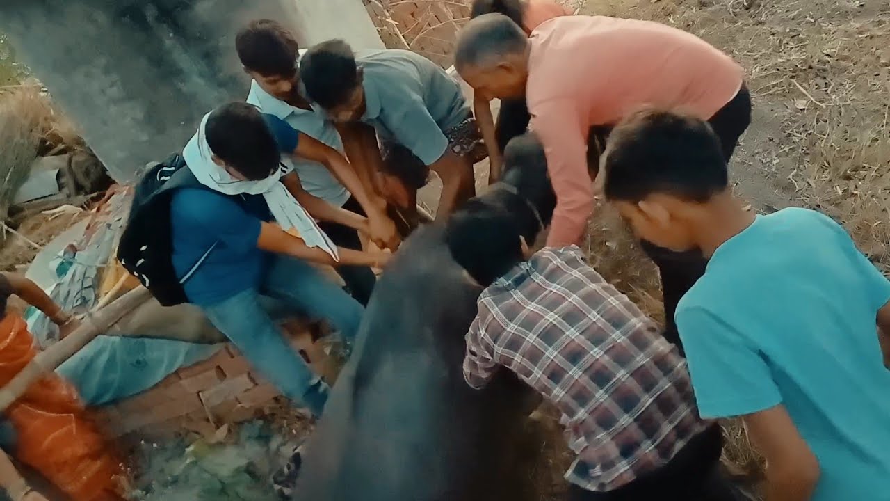 Ye Kya Ho Gaya ? 🙊 Akhir Buffalo Ki Jaan Bacha Liya | Jigar Vivek Yadav