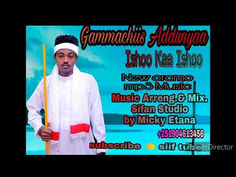 Gammachiis Addunyaa New Oromo Music Audio 2022