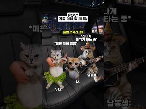고양이 밈 🐱 가족 여행 갈 때 특 #catmemes #relatable #relationship thumbnail