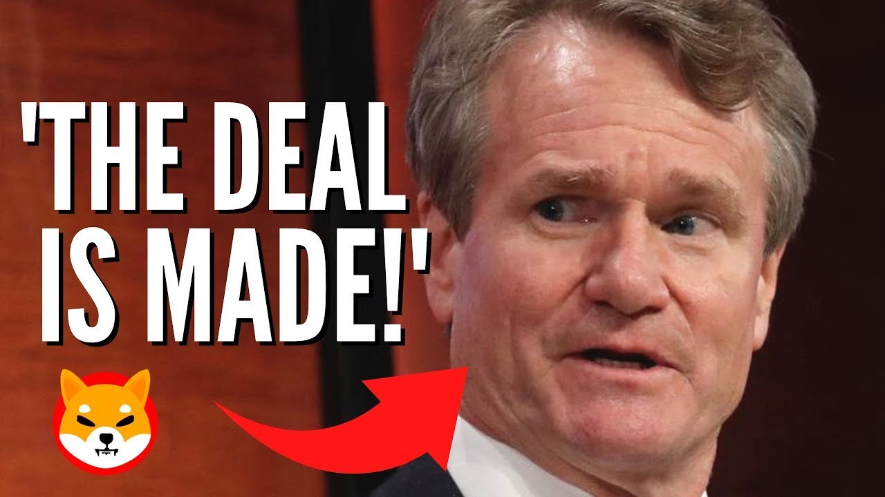 YOU WONT BELIEVE WHAT WILL HAPPEN WITH SHIB! YouTube