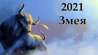 Китайский гороскоп на 2021 год : Змея