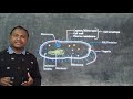 PROKARYOTIC CELL STRUCTURE : PART 2