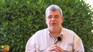 Thermath: the tool that built XSEOS