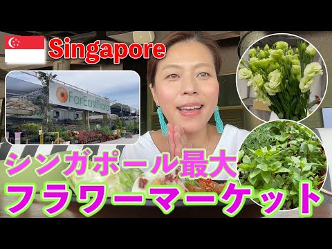 おはよーこシンガポール生活 Ohayoko Singapore Life Youtube