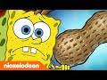 SpongeBob SpongeBob Menyebabkan Bencana Tiram Nickelodeon Bahasa 
