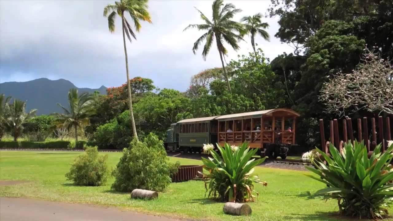 Hawaii Vacation Package 2012 | Go Collette | Holiday Getaway - YouTube