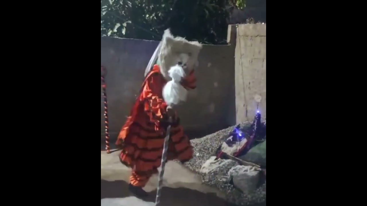 folia de reis azul e branca na casa de retiro no morro da formiga