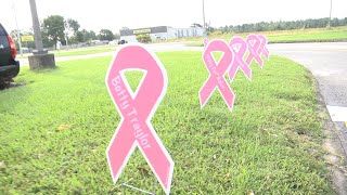 Baldwin school raising money and awareness for breast cancer through new service project