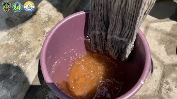 Recap Pelaksanaan KKNT Berdampak UNIPMA 2025 : Cerita Perubahan dari Desa Plumpungrejo