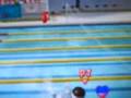 Mario Sonic At The Olympic Games 4x100m Freestyle Mario Sonic At The Olympic Games 4x100m Freestyle