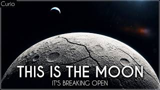 The Moon Should Be Dead (But Something Is Happening Beneath The Surface)