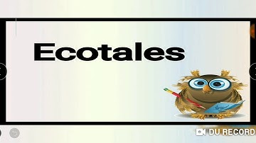 Microeconomics - NTA UGC NET - Consumer Behaviour - Cardinal Utility Theory - P02