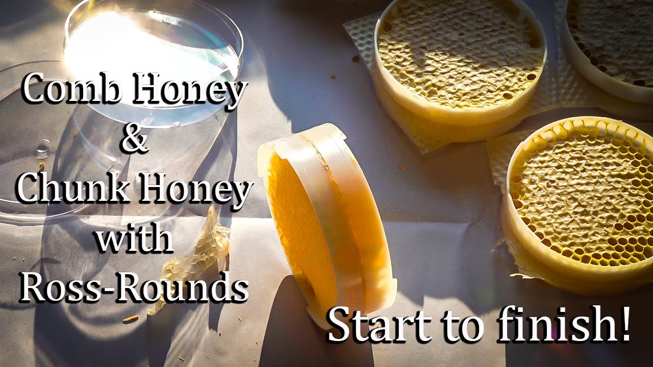 Ross Round Honey In The Comb How to make comb honey with RossRounds