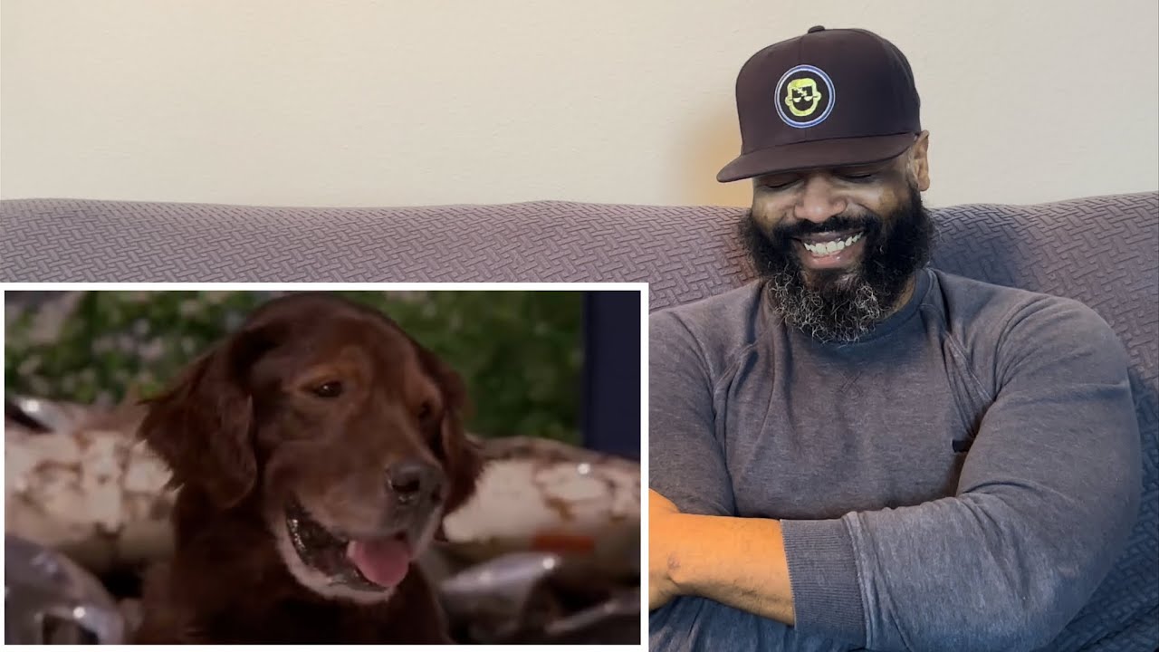 Fluke - Реакция CMTOWN