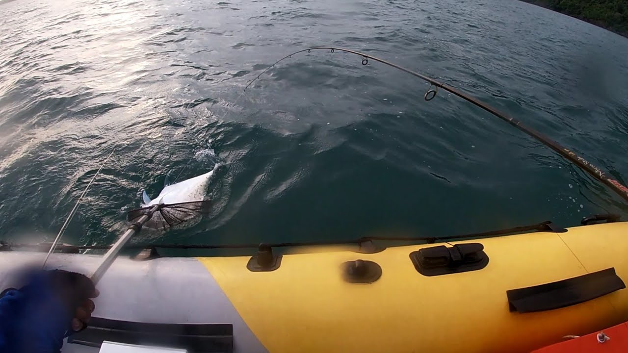 ลักเรียบไมโครจิ๊กอ่าวฉลองภูเก็ต / MicroJigging at Chalong Bay Phuket ThaiLand.