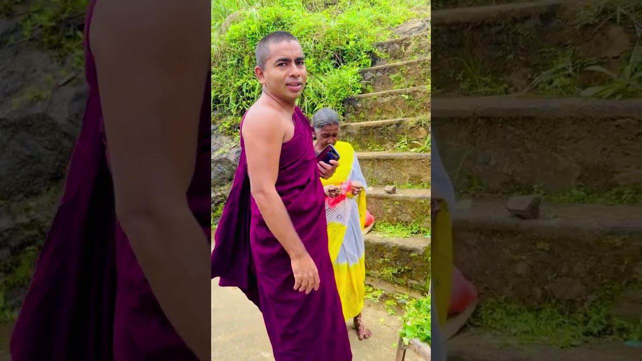 පාරෙ ගොටුකොළ විකුණන අවු 75ආච්චී