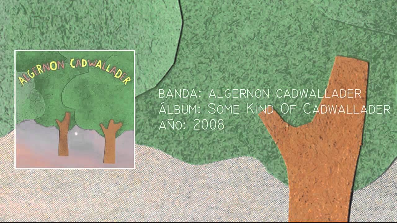 Algernon Cadwallader In Response to Irresponsability YouTube Music