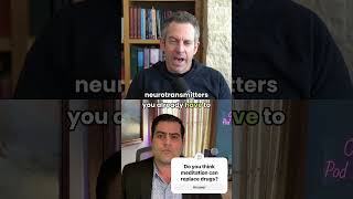 Sam Harris: meditation can reproduce psychedelic drugs