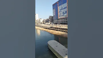 كوبرى كفر الدوار محور المحمودية جديد 2026 