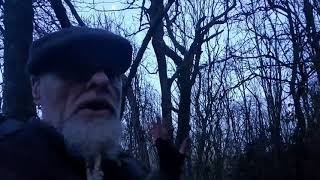 Earth Magic & Grid Work  Using Natural Crow Medicine `Charged` with Violet Flame