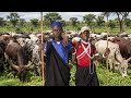 IYAGAMBA MABHUTULA FT NSAMBA YA NG OMBE NZIKU OFFICIAL MUSIC 0785988794 
