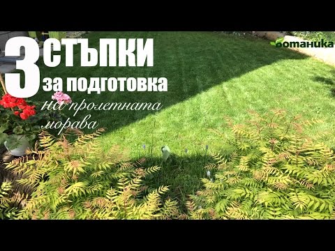 Видео: Косене 101: Съвети за перфектната морава