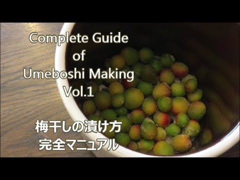 How To Make Umeboshi Step By Step Complete Guide 1of 3 Holistic Life In California 英語版梅干しの作り方 Youtube