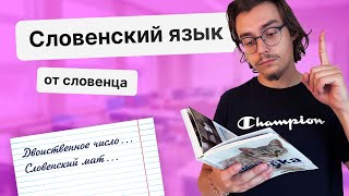 Факты о словенском языке. Словенец о Словении