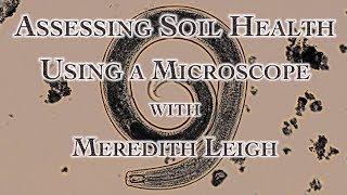 Assessing Soil Health Using a Microscope with Meredith Leigh