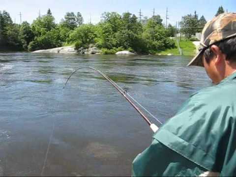 Sturgeon fishing - Manitoba