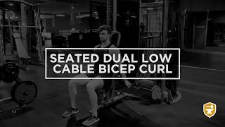 Seated Dual Low Cable Bicep Curl