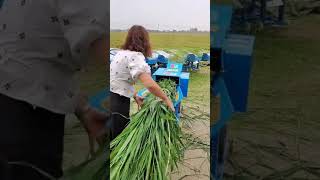 Agriculture Tool, husbandry machinery & Farm Ideas - Agri Gears
