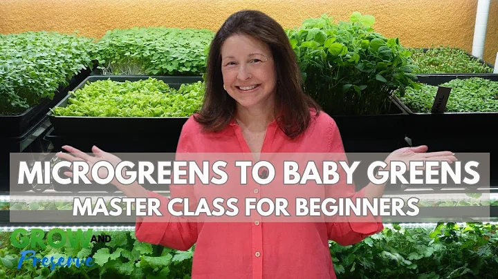 How to Grow Microgreens | Step by Step for Beginners | Complete Guide