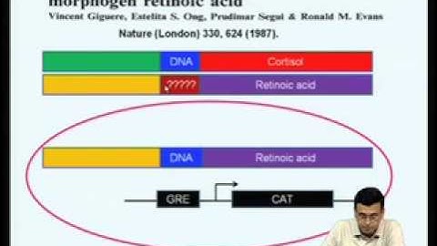 Mod-06 Lec-22 Regulation of gene expression by type II nuclear receptors