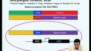 ⁣Mod-06 Lec-22 Regulation of gene expression by type II nuclear receptors