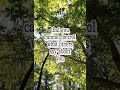 #bestversionyourself #yourself #transformation #social