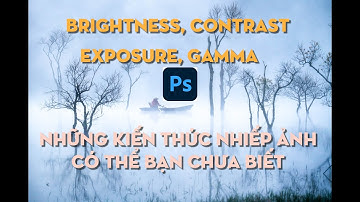 Photoshop P2 | Brightness, Contrast & Exposure, Gamma Correction thực sự hoạt động như thế nào ?