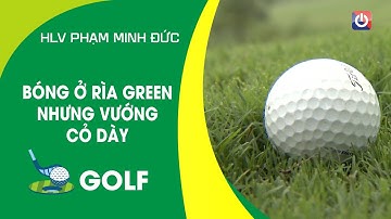 BÓNG Ở RÌA GREEN NHƯNG VƯỚNG VÙNG CỎ DÀY PHÍA SAU | ON GOLF